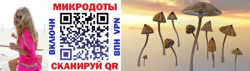 цены   Покачи  Галлюциногенные грибы прущие грибы 